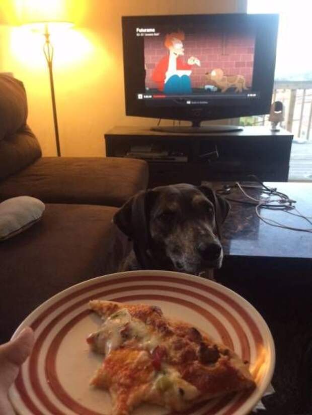 Прикольные картинки (90 фото) Прикольные картинки (90 фото)