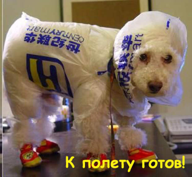 Подборочка прикольных открыток
