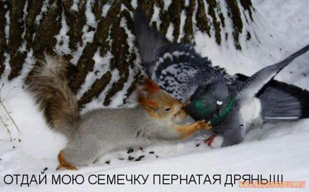 Мысли в слух №101014