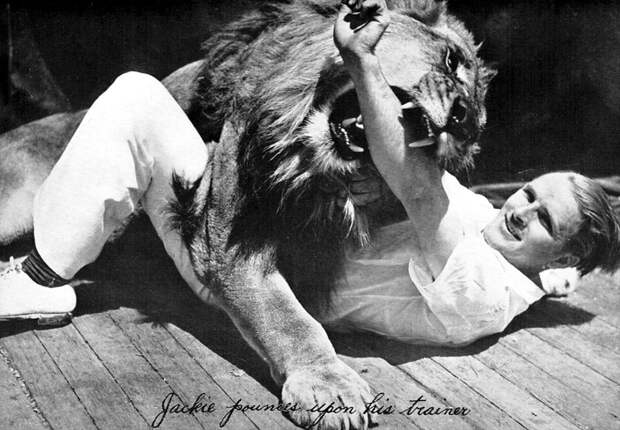 MGM-Lion-11.jpg MGM-Lion-11.jpg