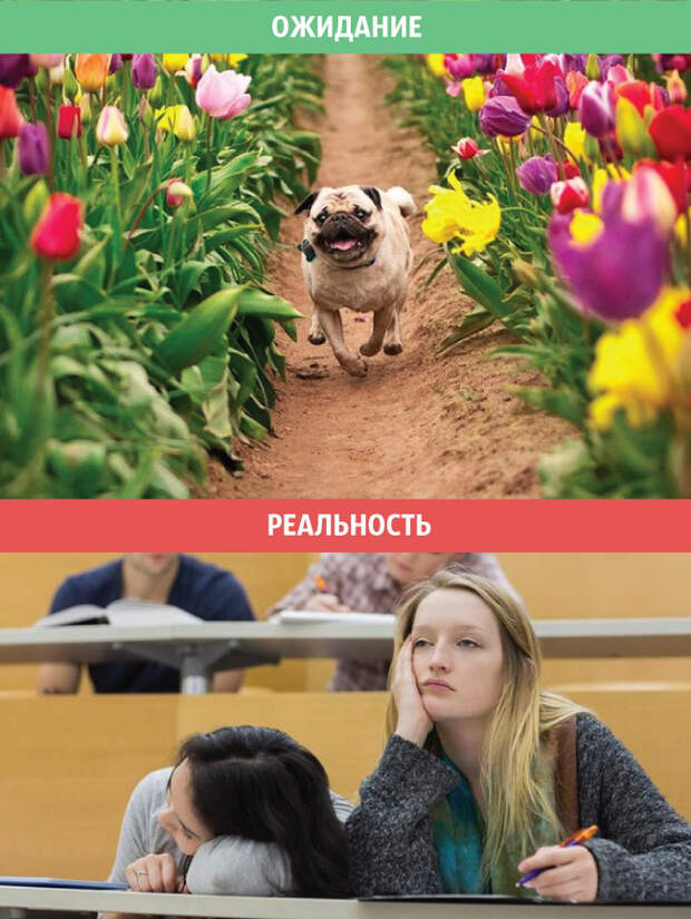 весна, ожидания и реальность