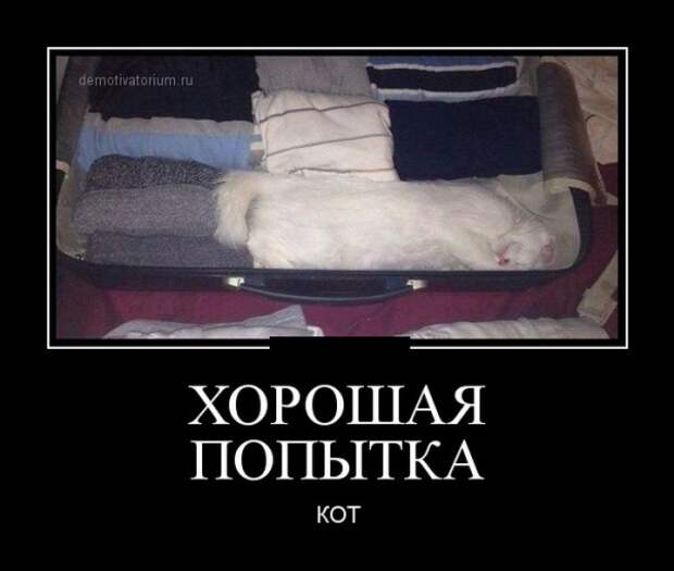 ПОДБОРКА ПРИКОЛЬНЫХ ДЕМОТИВАТОРОВ №356