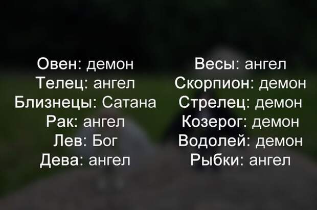 Смешные картинки с надписями прикол, юмор