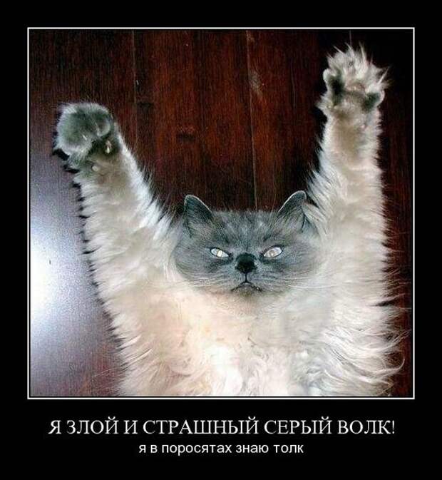 Демотиваторы (30 фото)