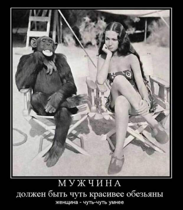 Картинки для улыбок. Улыбайтесь!
