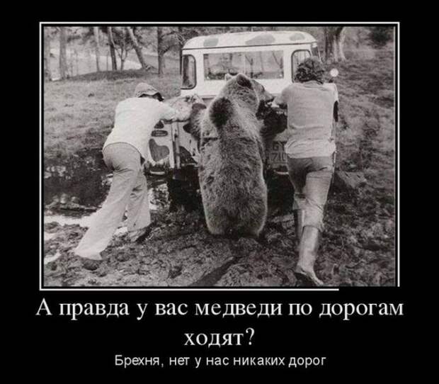 Демотиваторы (30 фото)