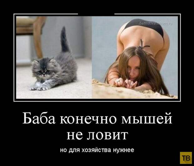 Подборка демотиваторов 15. 12. 2014 (32 фото)