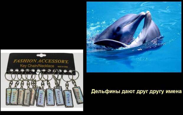 Мир удивителен, господа! Мир удивителен, господа! интересное, мир, невероятное