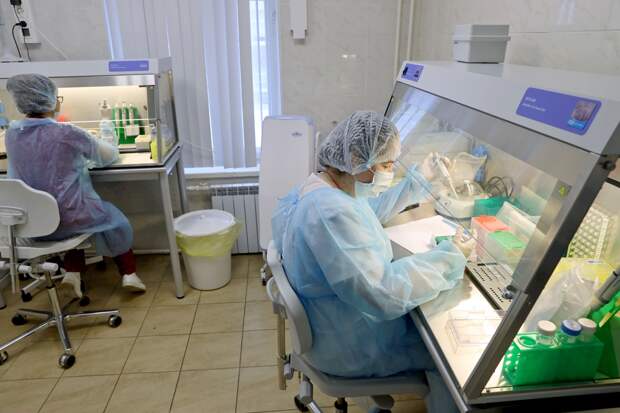В России выявили 33 186 новых случаев коронавируса