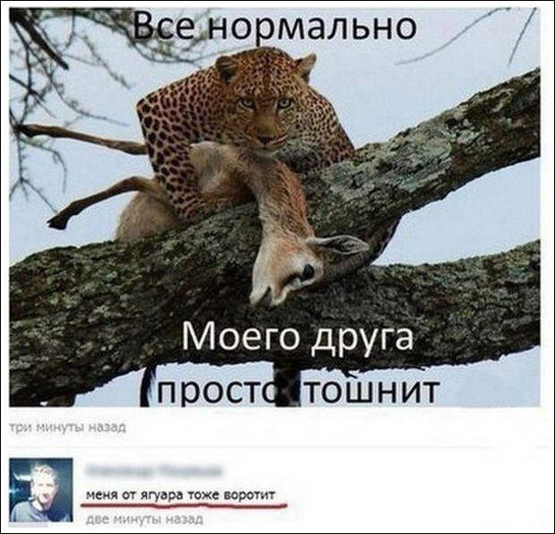 Смешные комментарии из социальных сетей Смешные комментарии из социальных сетей