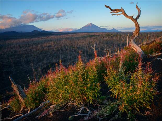 Kamchatka Dreaming — большое камчатское путешествие KamchatkaDreaming15 Kamchatka Dreaming — большое камчатское путешествие