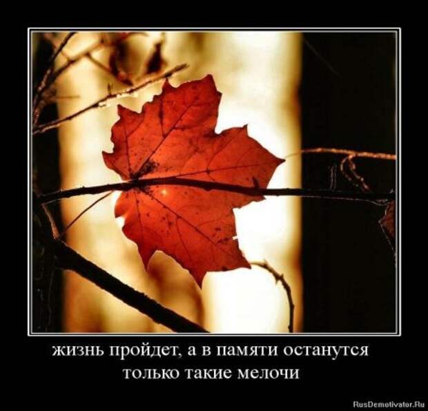 демотиваторы со смыслом обо всем.