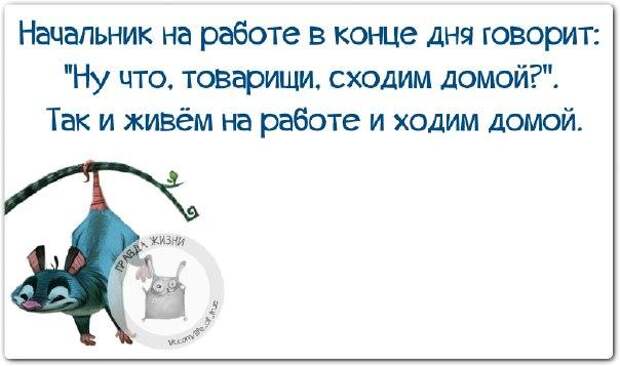 Спор с женщиной - как охота на слона... Спор с женщиной - как охота на слона...