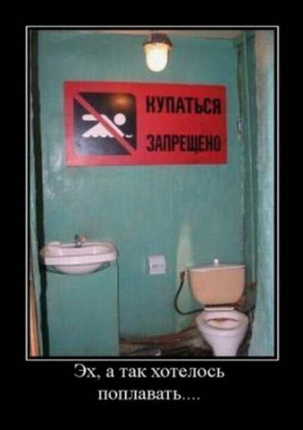 Веселые демотиваторы, приколы в каждом фото.