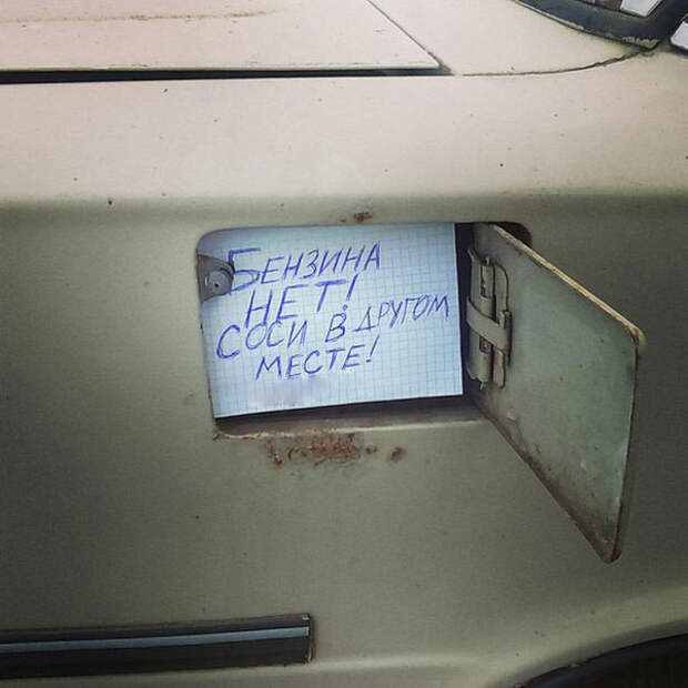 Кража бензина становится все более популярной, в связи с новыми экономическими реалиями  вор, животные, прикол, юмор