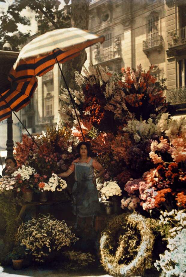 25 неопубликованных фотографий из архивов National Geographic