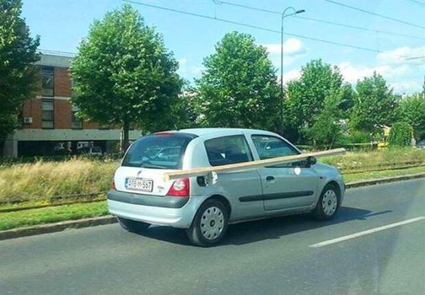 фото когда хитрость зашкаливает