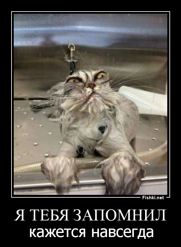 Демотиваторы демотиваторы