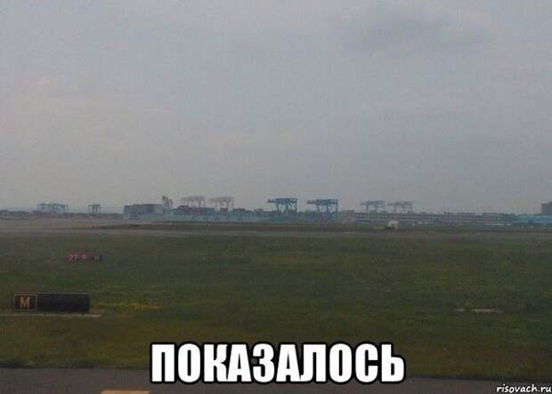 Показалось катинки, прикол