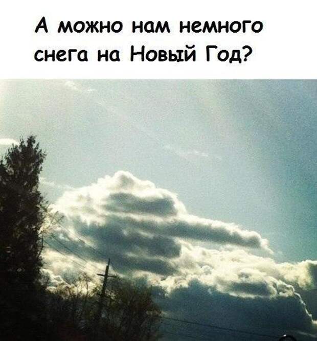 Картинки, юмор, приколы
