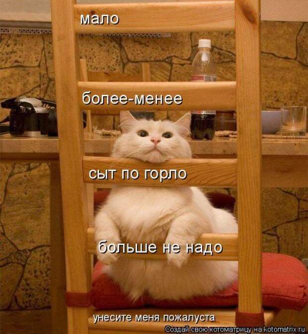 Котоматрица Котоматрица