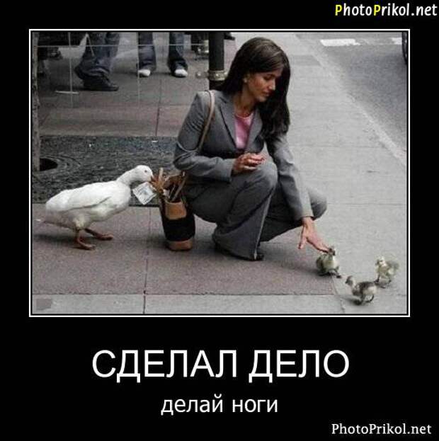 Демотиваторы приколы 3 Демотиваторы приколы 3
