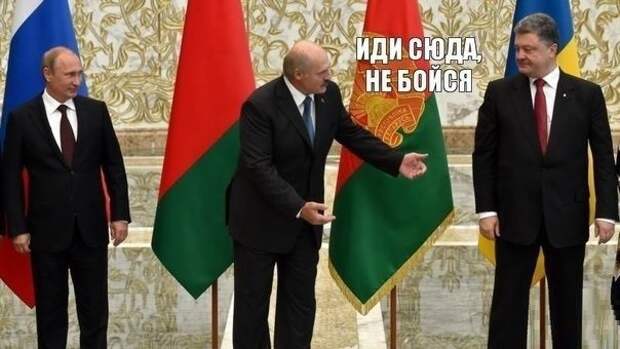 Смешные картинки с надписями прикол, юмор