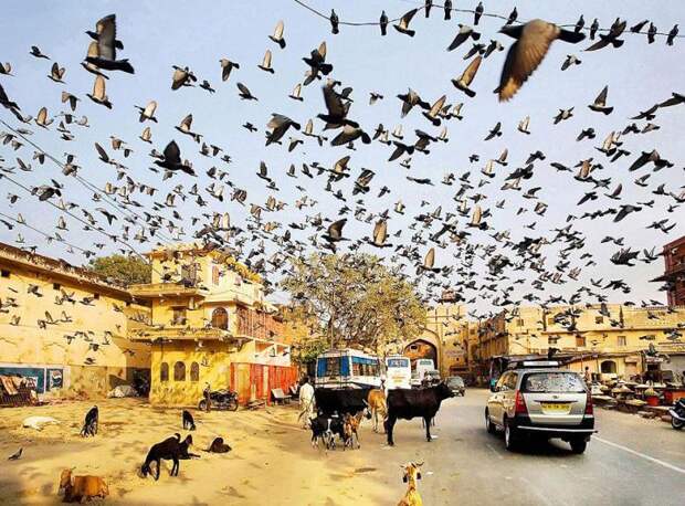 sony-world-photography-awards-2013 (17)