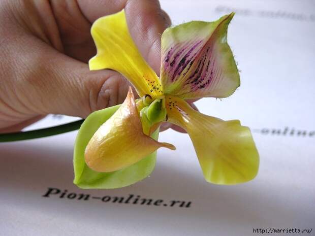 Орхидея Леди Слиппер из полимерной глины. Мастер-класс (68) (640x480, 160Kb)