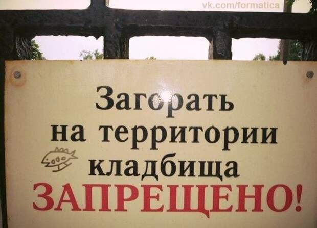 Прикольные картинки Прикольные картинки