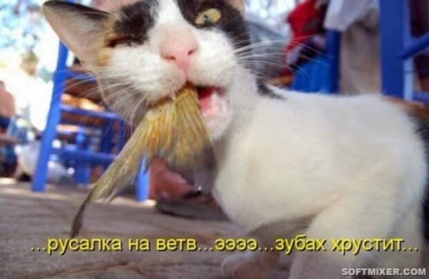 568d24dc10735a3099cb29491c4_prev