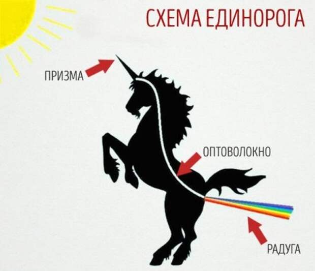 В эфире - свежие фото-приколы (40 шт)