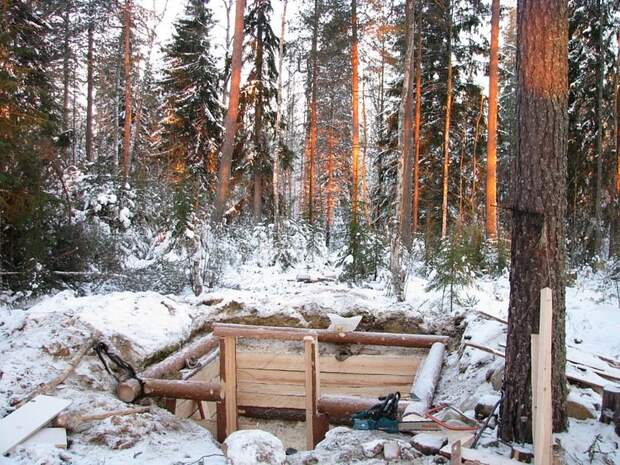 Отпуск в лесу