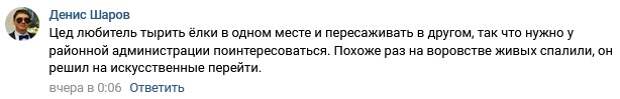Цеда подозревают в краже новогодних украшений