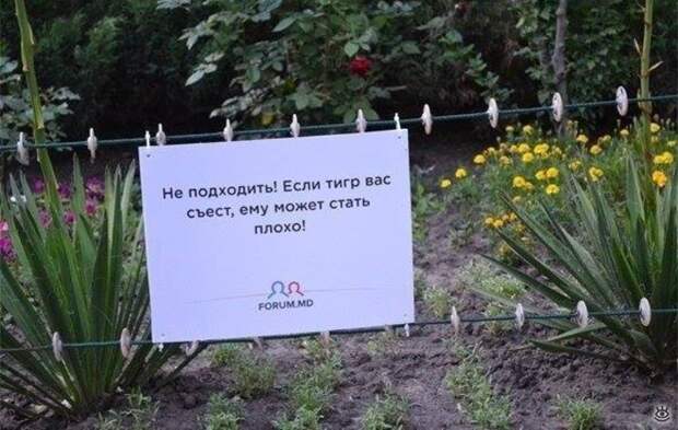 Приколы молдавского зоопарка 6