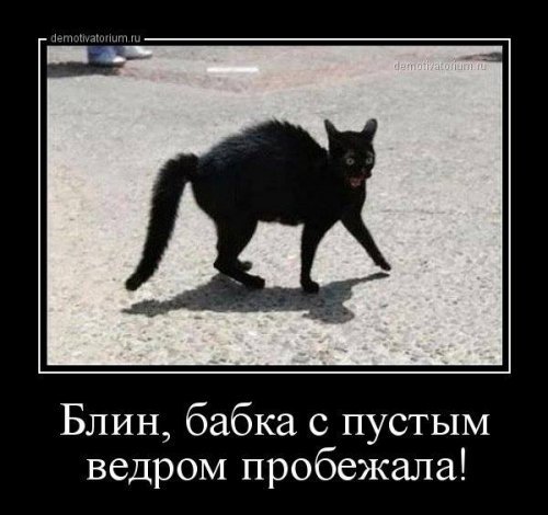 Подборка фотоприколов и смешных картинок Подборка фотоприколов и смешных картинок
