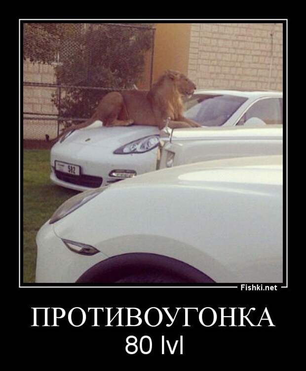 Демотиваторы  демотиваторы, прикол, смех, юмор