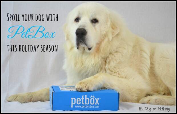 Great Pyrenees PetBox