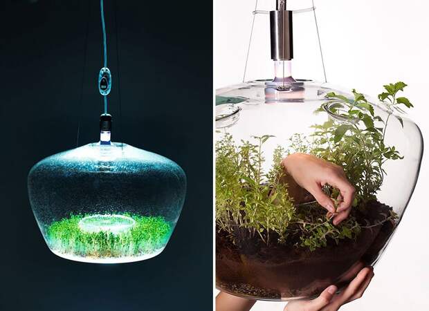 creative-lamps-chandeliers-3-2