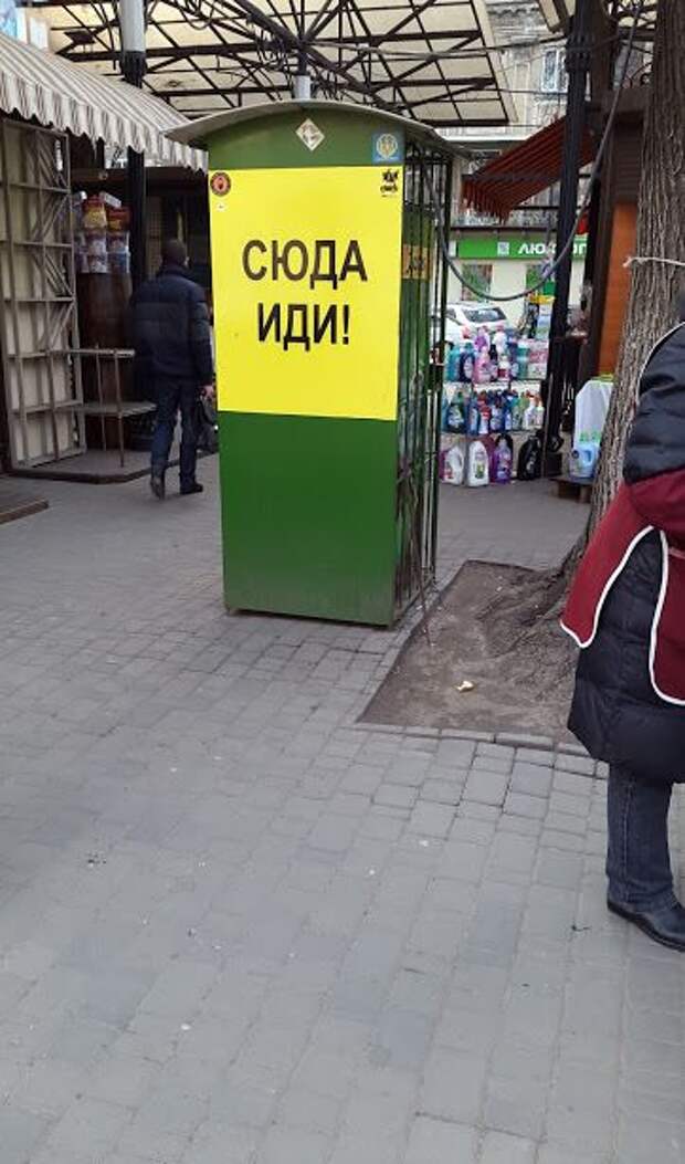 Прикольные картинки (102 фото)