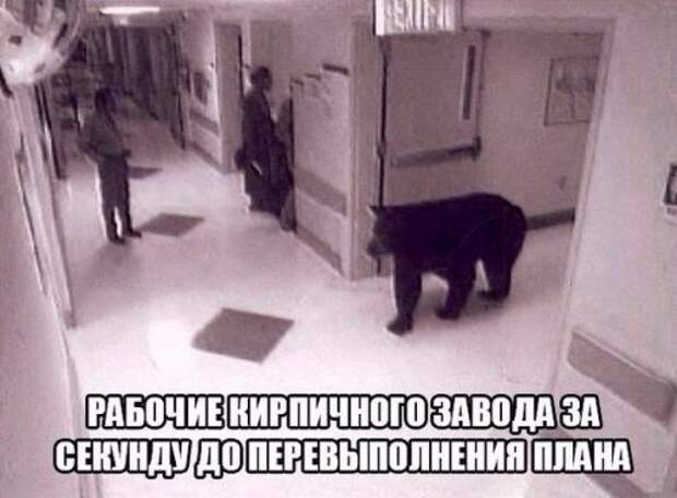 Анекдоты нон-стоп (10 шт)
