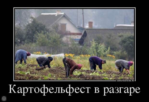 Здравствуй, осень! 28