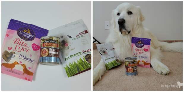 Want to spoil your dog with the monthly subscription, PetBox? Use code "DOGORNOTHING" at check out!