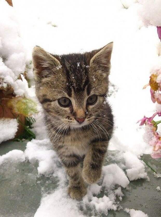 Приколы и позитив