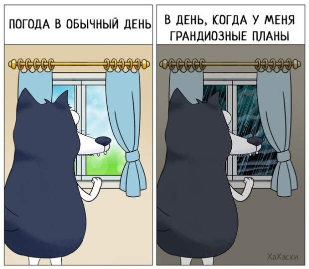 Смешные комиксы