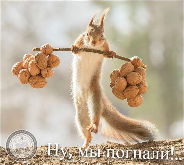Ну, мы погнали!