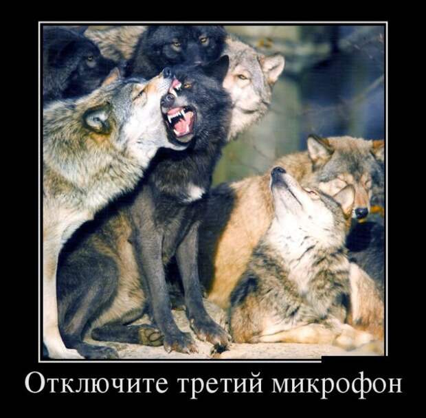 Демотиваторы