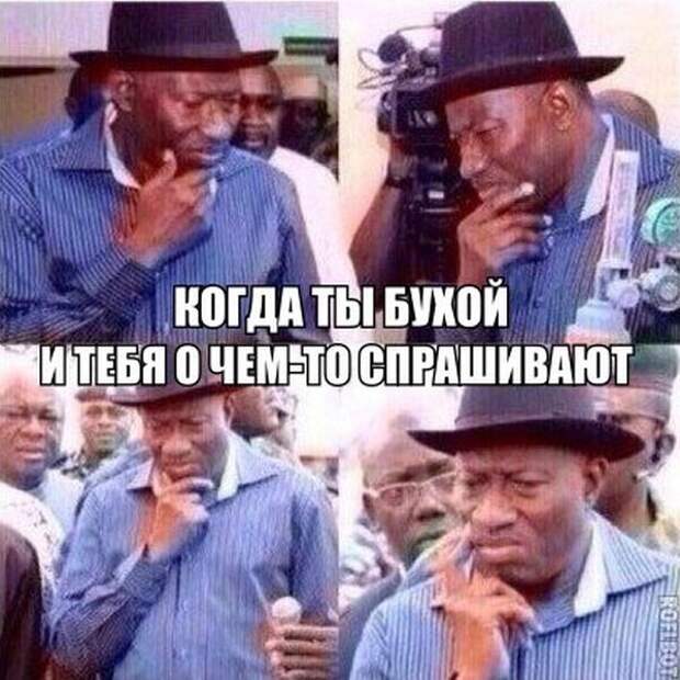 Картинки со смешными подписями картинки, прикол, юмор
