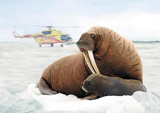 Экоответственность крупной компании