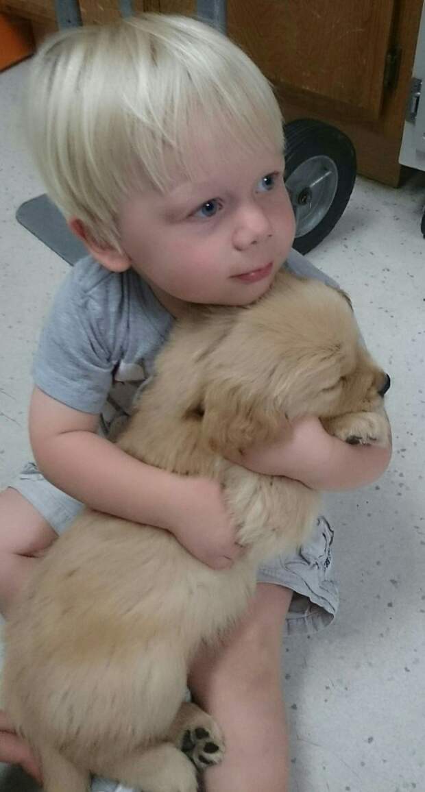 Meet My Son Lucas And His New Golden Retriever Puppy Bear